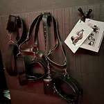 Romeo Nights - Private - Adults Only 情趣酒店 布加勒斯特